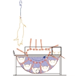 Banss osparivanie 10