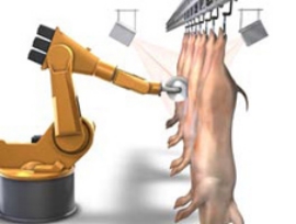 robot liniya 03