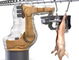 robot liniya 06
